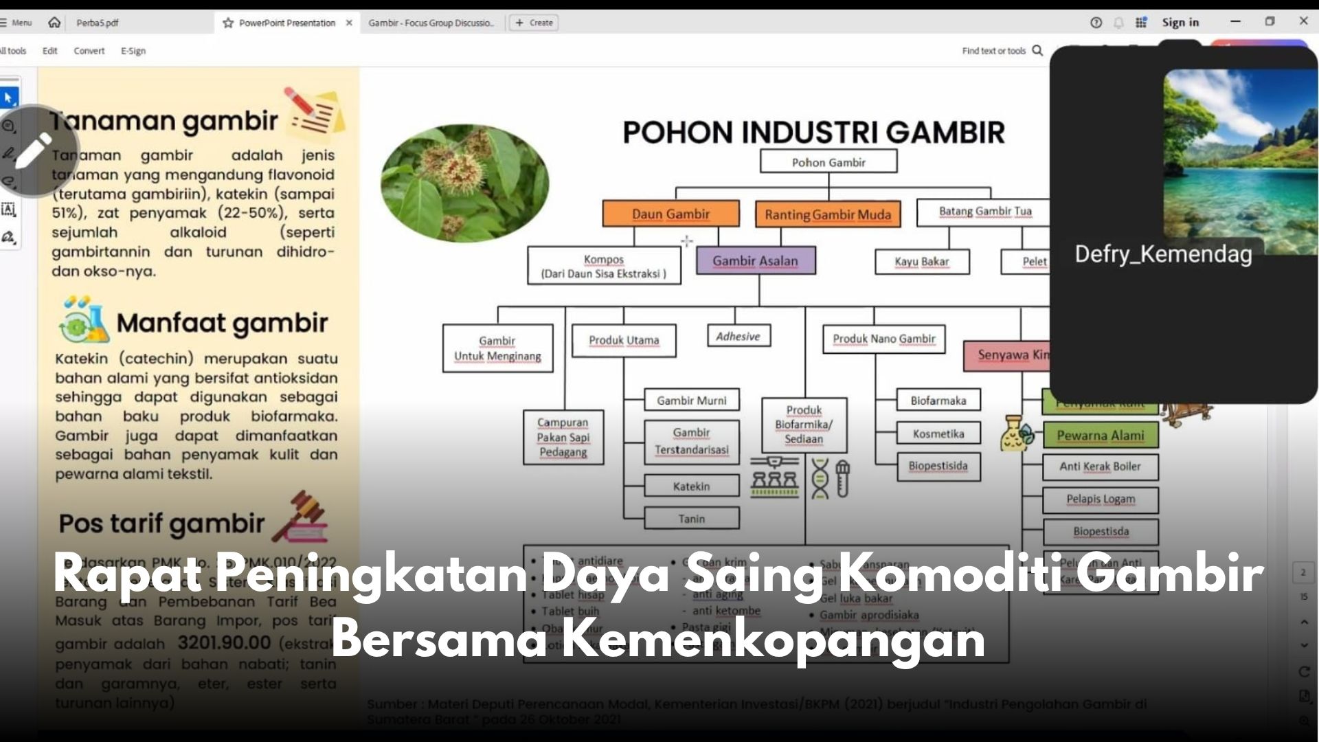 Rapat Peningkatan Daya Saing Komoditi Gambir Bersama Kemenkopangan: Dorong Peluang Ekspor ke Pasar Australia