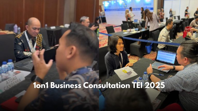 1on1 Business Consultation TEI 2025