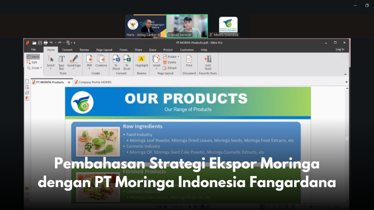 Pembahasan Strategi Ekspor Moringa dengan PT Moringa Indonesia Fangardana